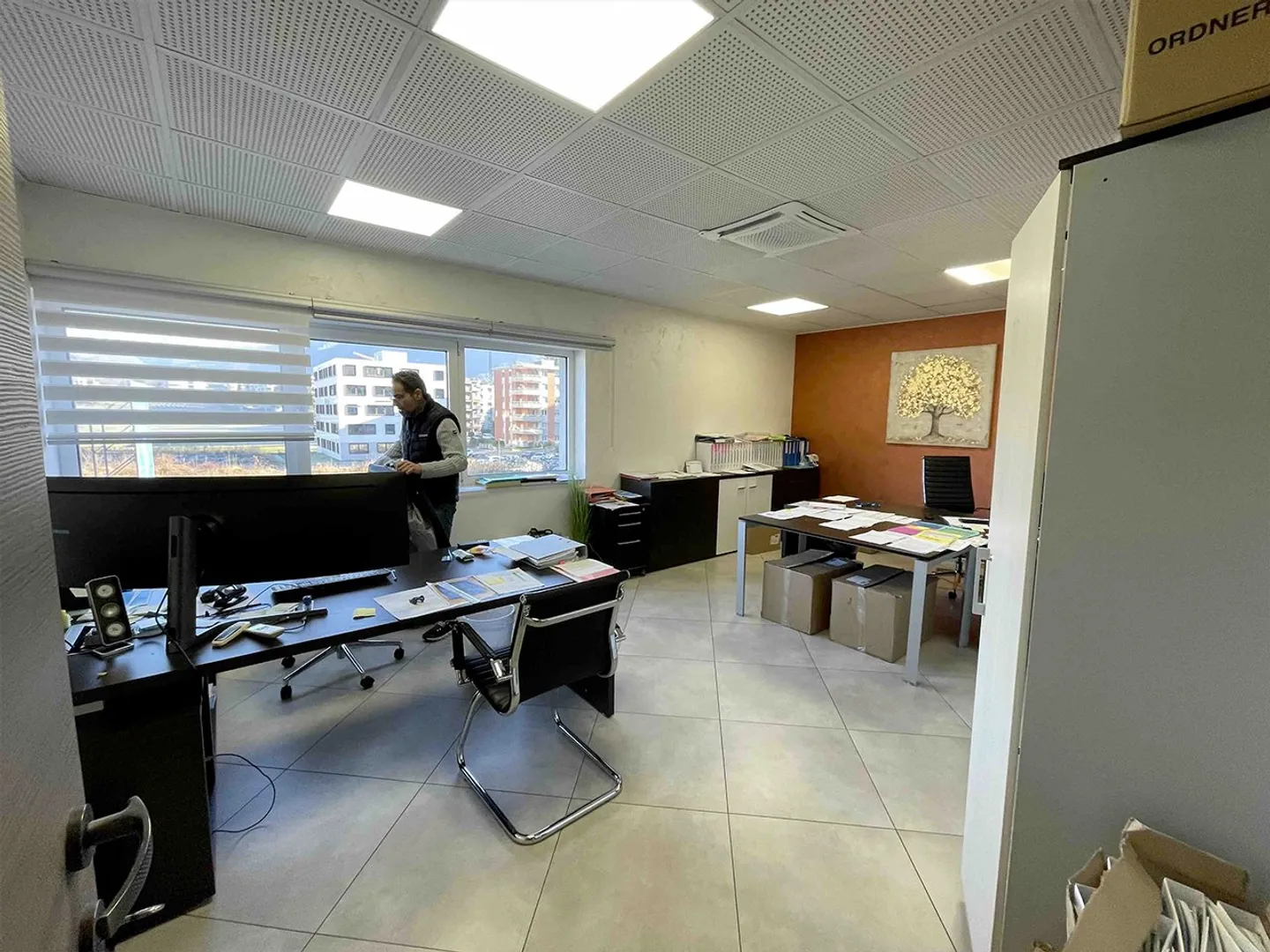 175 m2 d'espace de bureau ( + dépôt et parkings) Breganzona Ref: 0384 - Photo 3 sur 9