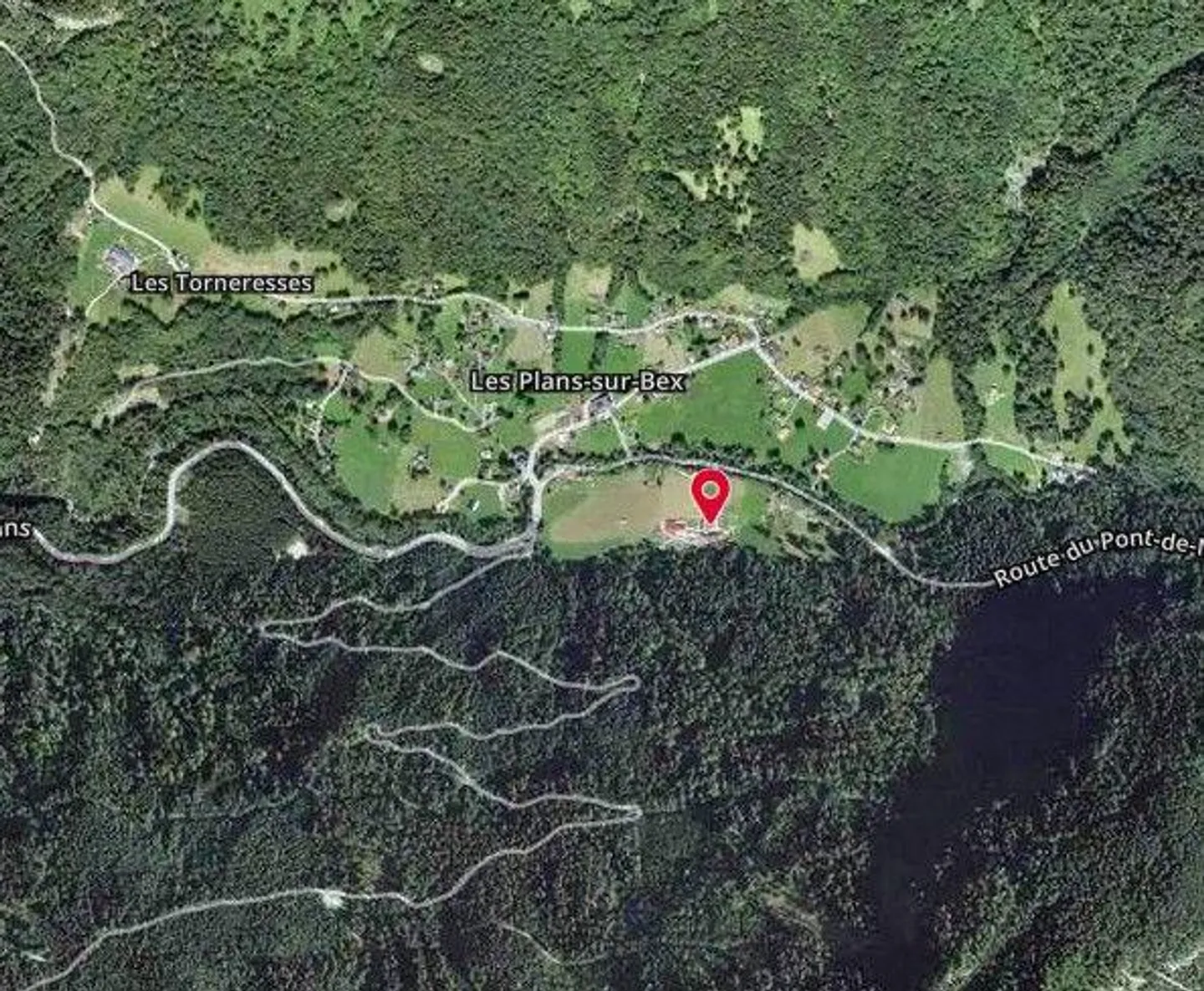 Wohnung mit Weide und Wald - Foto 4 von 13