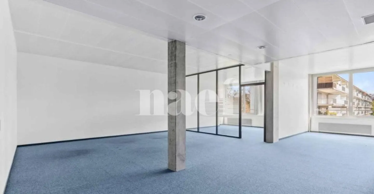 Précossy Residence - Wunderschöne modulare Fläche von ca. 333 m2 im 1. Stock - Foto 3 von 6