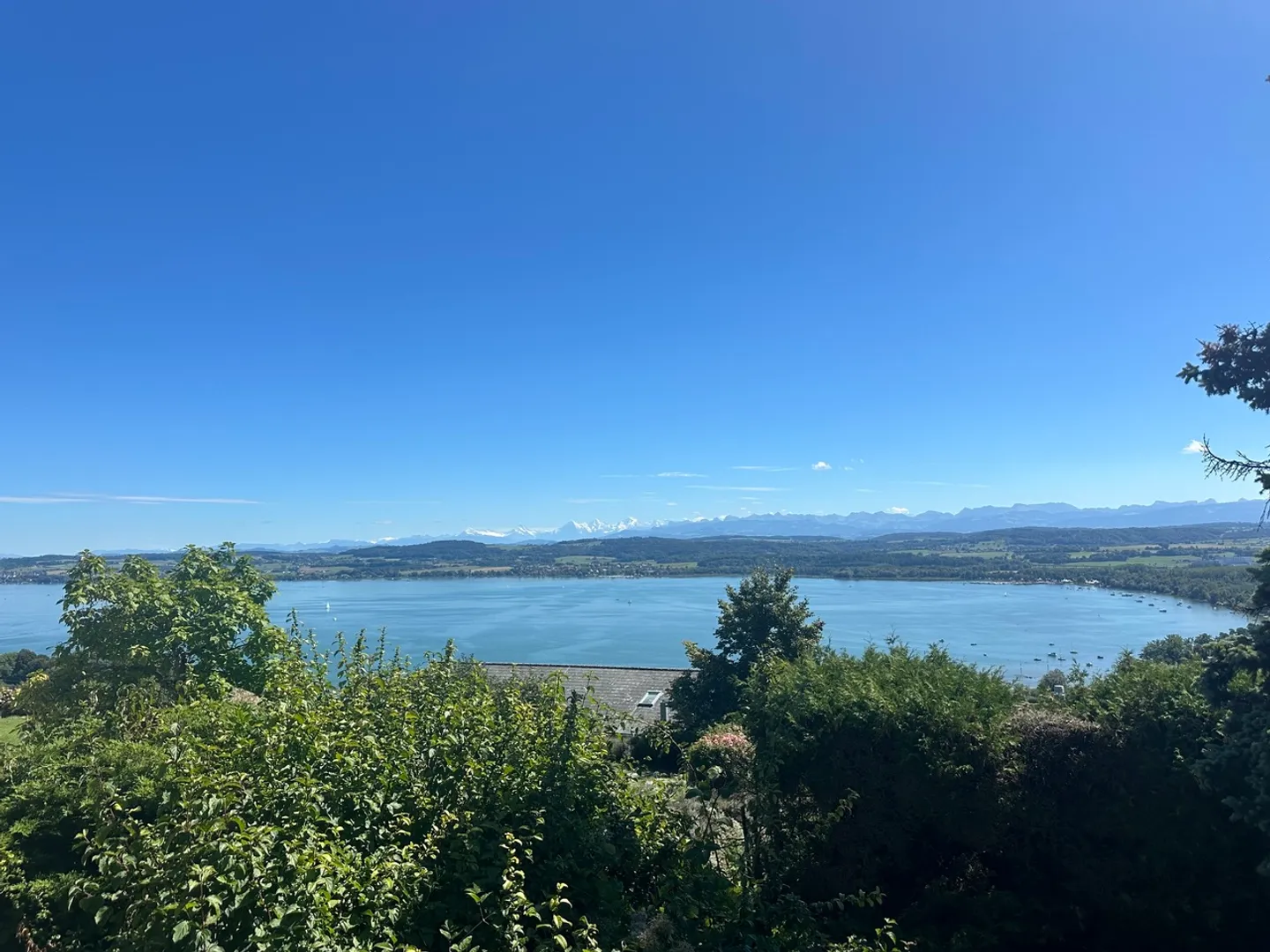 LAND WITH INCREDIBLE VIEW OF LAKE MORAT - Photo 10 of 10