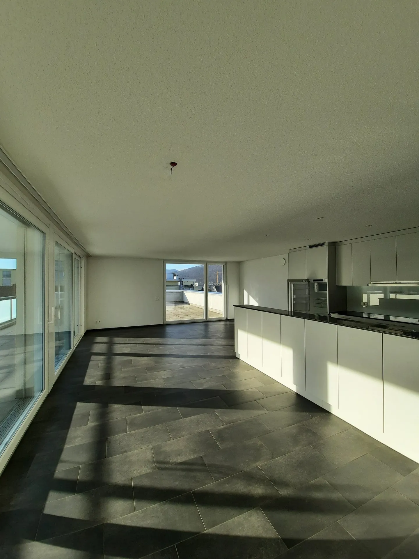 Modern and Stylish 4.5-Room Penthouse Apartment - Photo 1 of 13