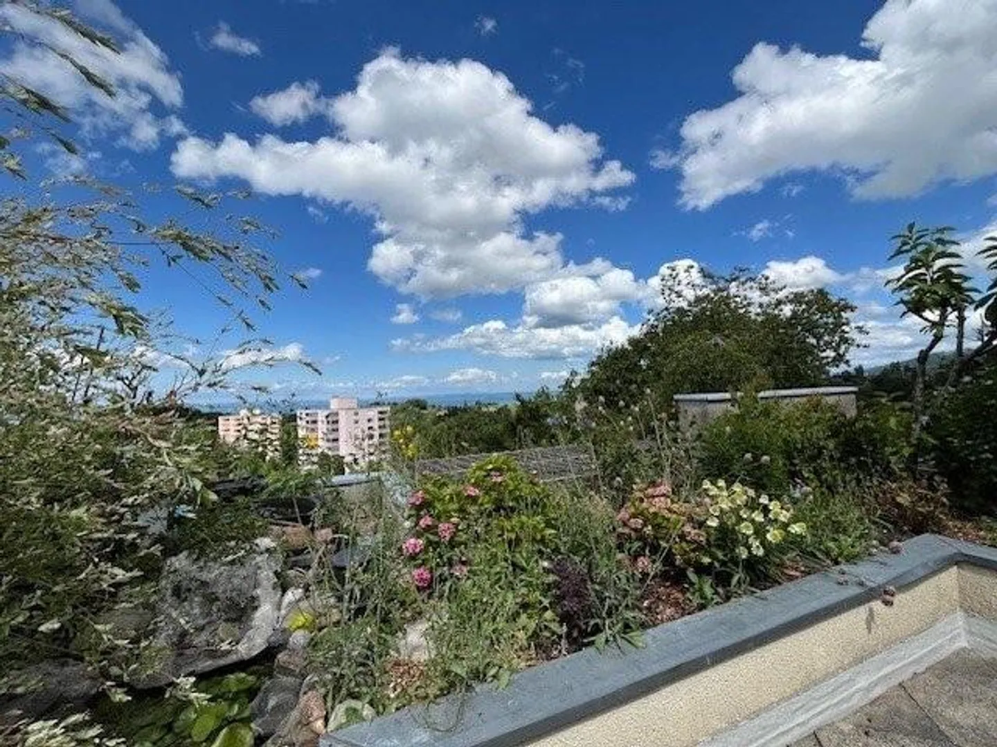 Charmante 3.5-Zimmerwohnung - Foto 6 von 6