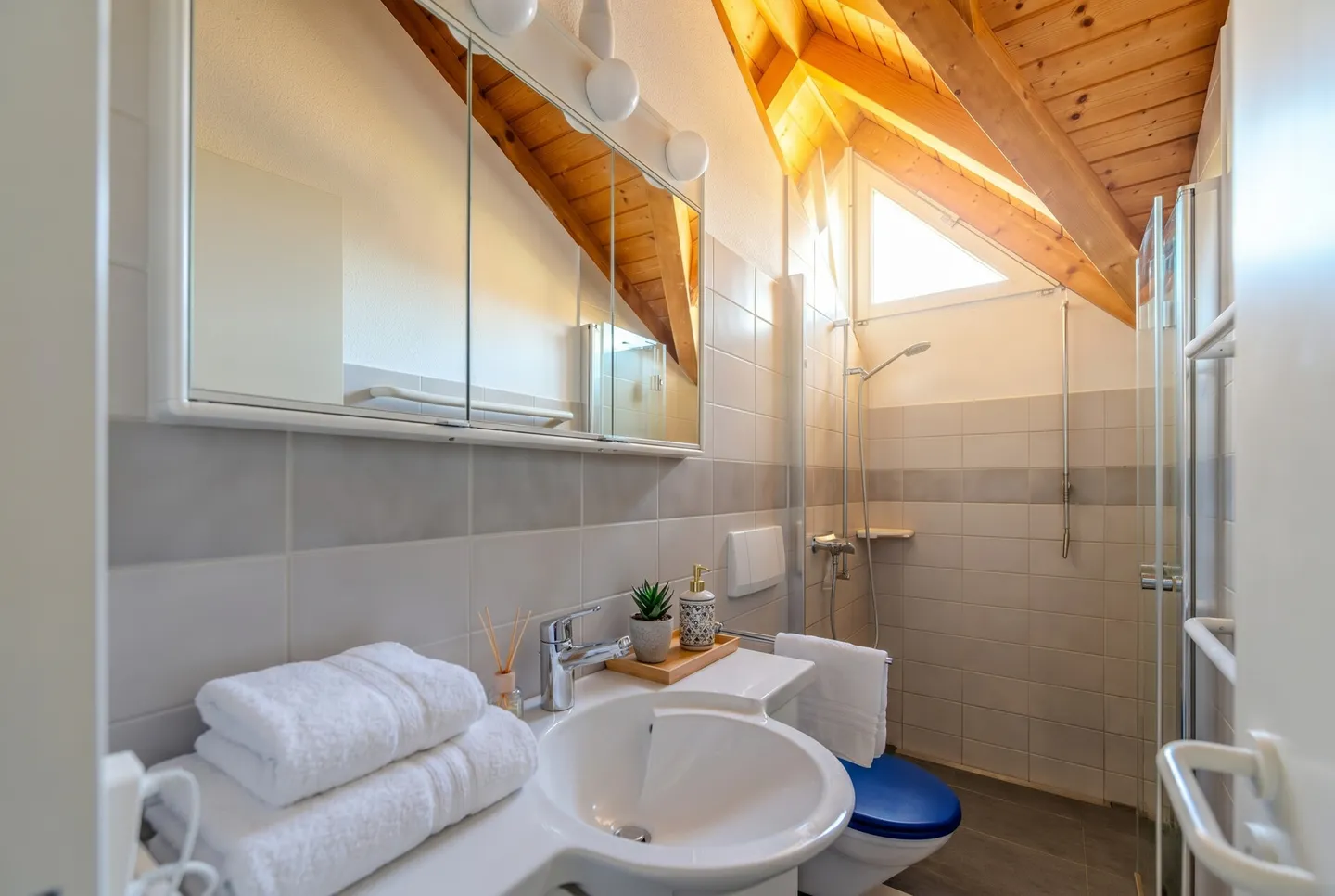 Casa unifamiliare con grande giardino in una zona residenziale tranquilla - Foto 18 di 22