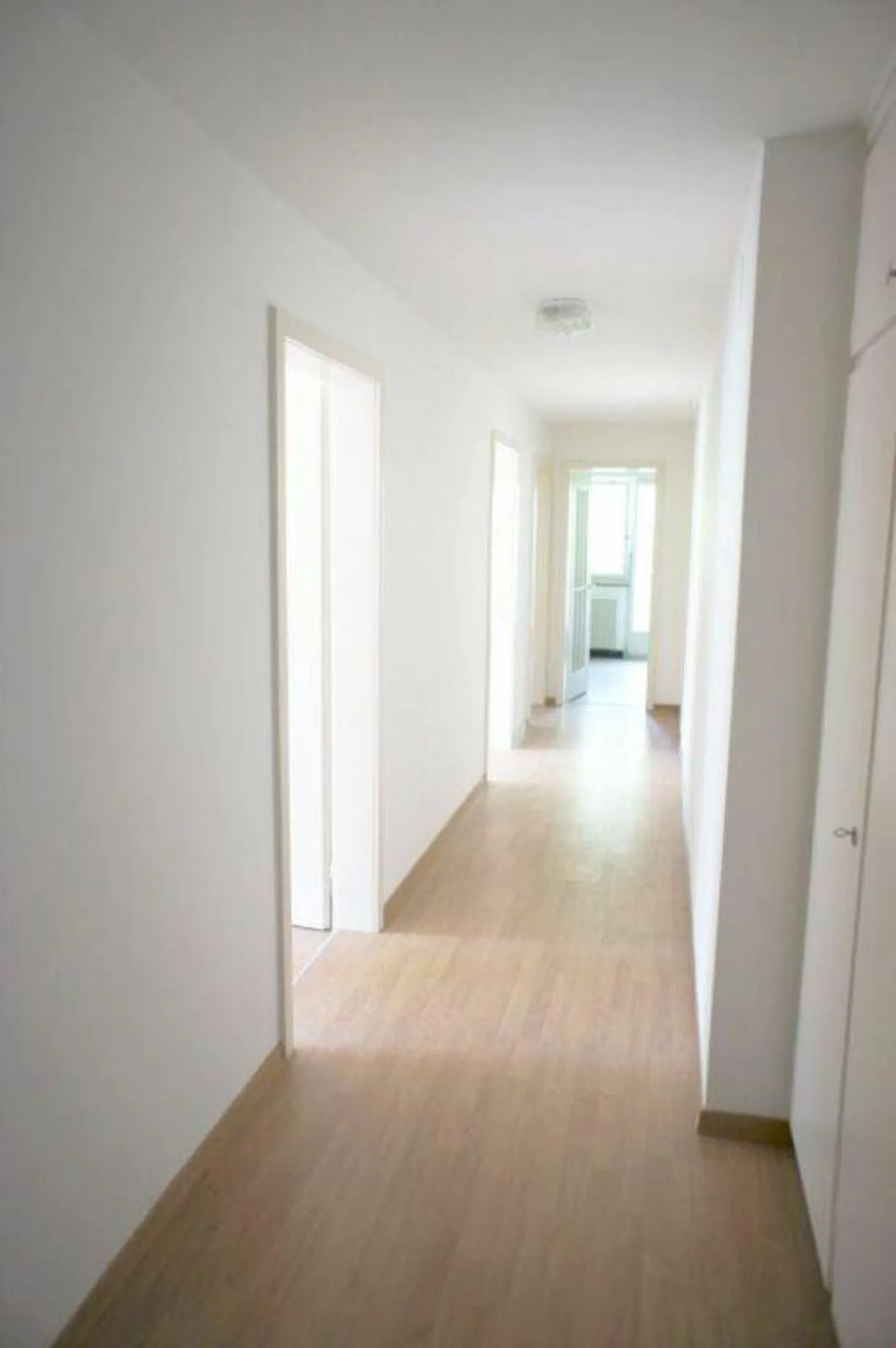 Spacious and bright apartment in a quiet location! - Photo 4 of 8