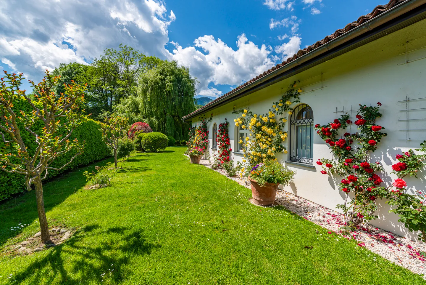 Elegante Villa con piscina immersa nel verde - Foto 16 di 21