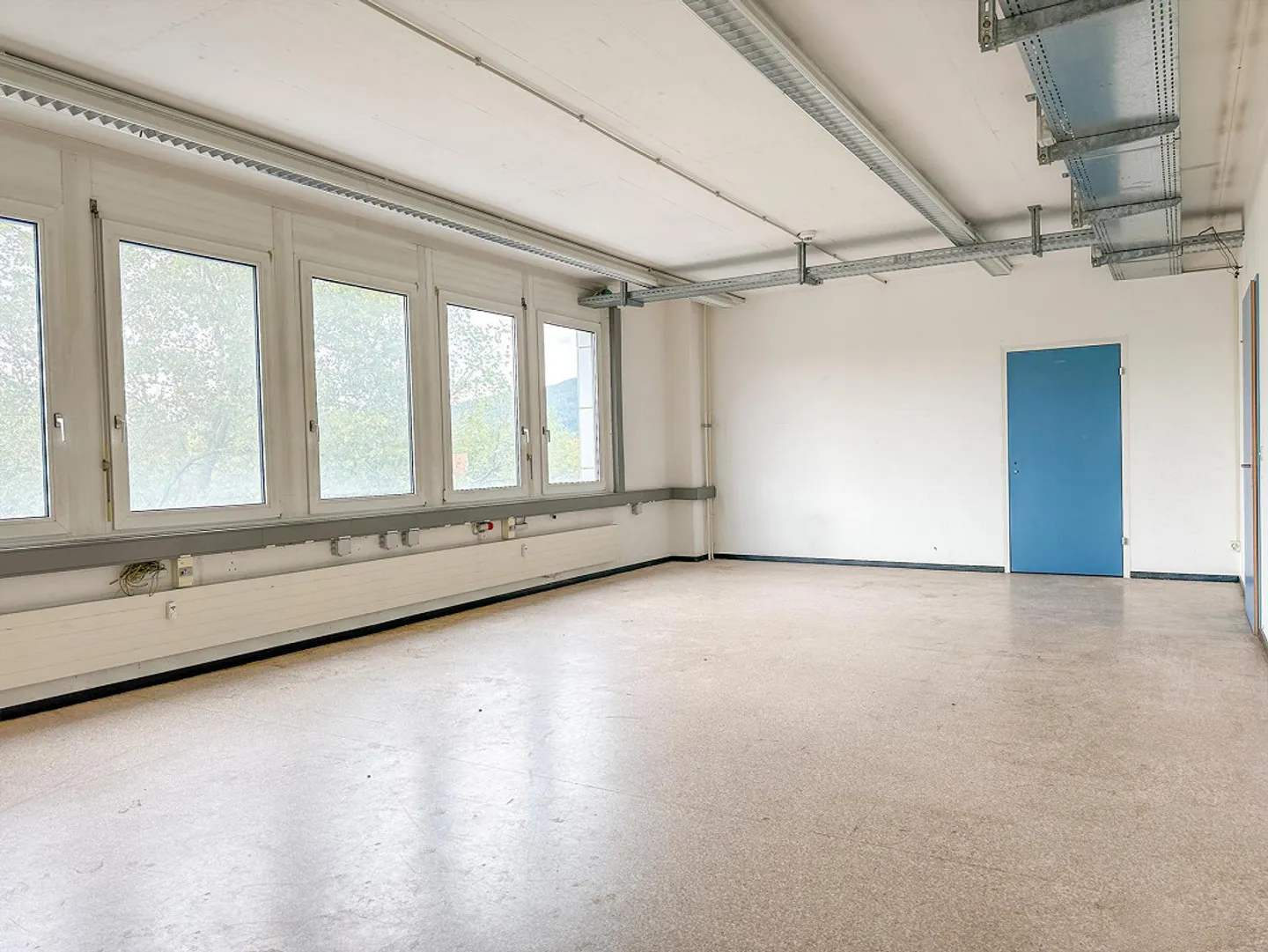 Versatile commercial space with industrial charm in Reinach - Photo 1 of 4