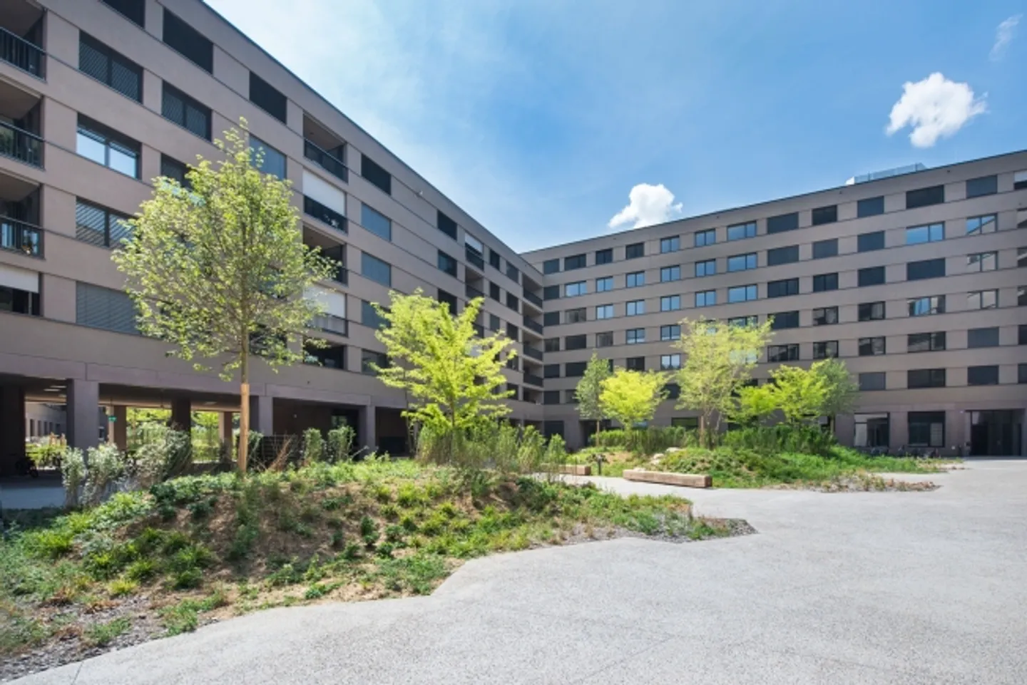 Laboratorio in affitto - Foto 1 di 7