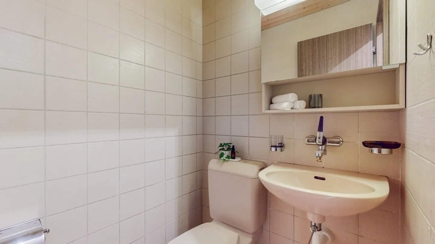 Appartement Confortable à Langnau - Photo 9 sur 9