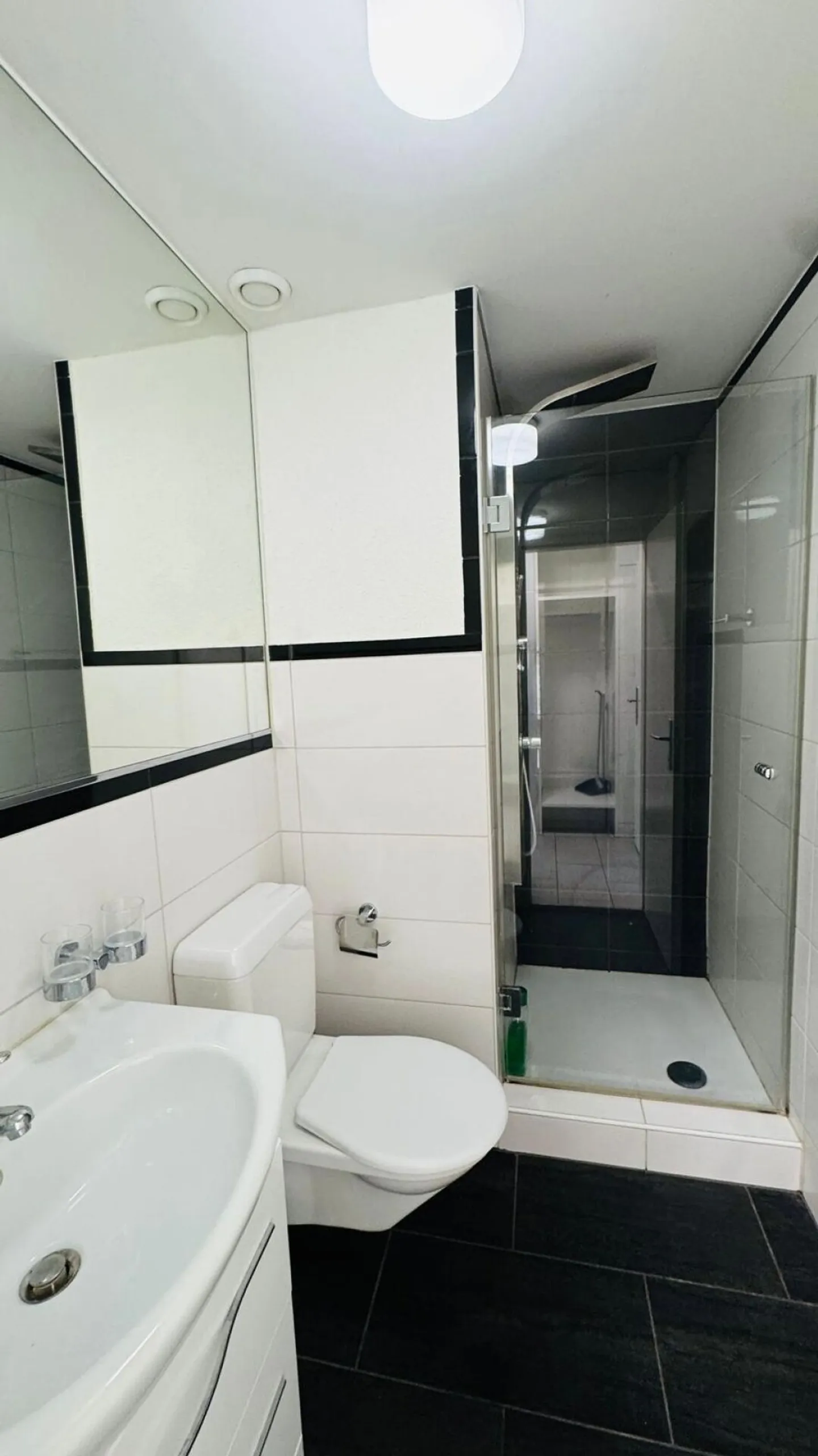 Appartamento di 1.5 locali al 4° piano con balcone in posizione centrale a Basilea - Foto 6 di 6