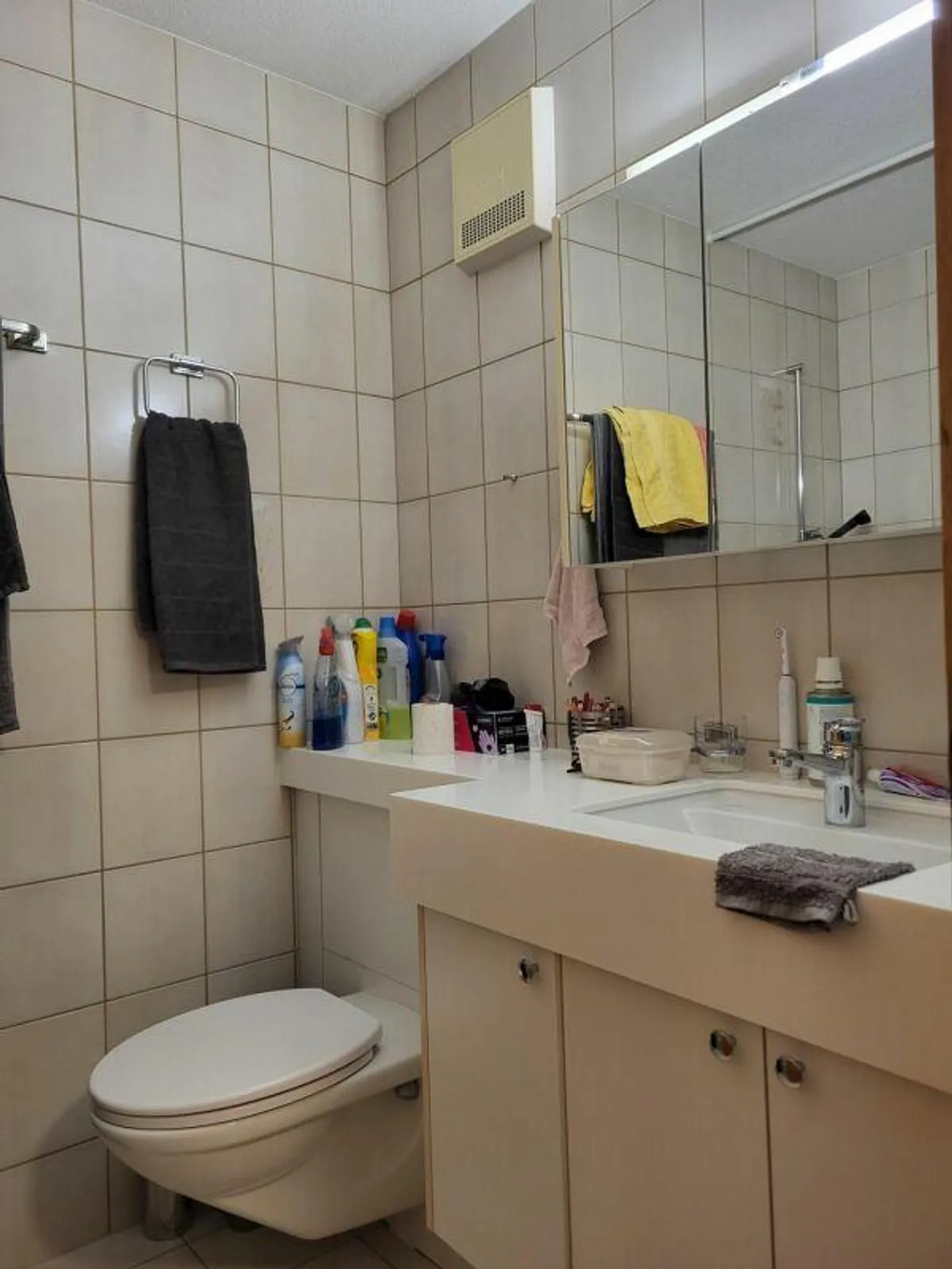 Appartement 2.5 pièces avec une vue magnifique sur le Pizol - Photo 5 sur 6