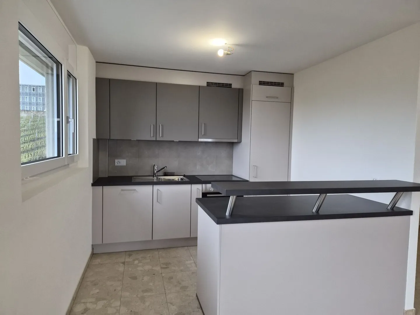 Appartement rénové avec vue lac - Photo 4 sur 16