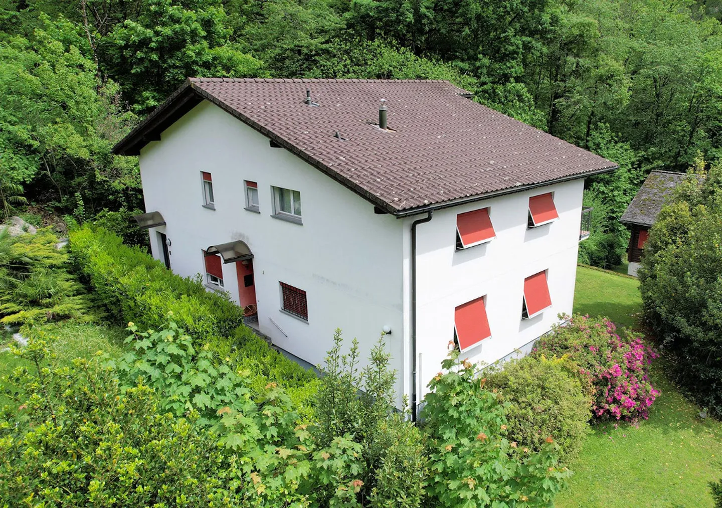 Renovated apartment immersed in greenery and nature - Photo 4 of 11