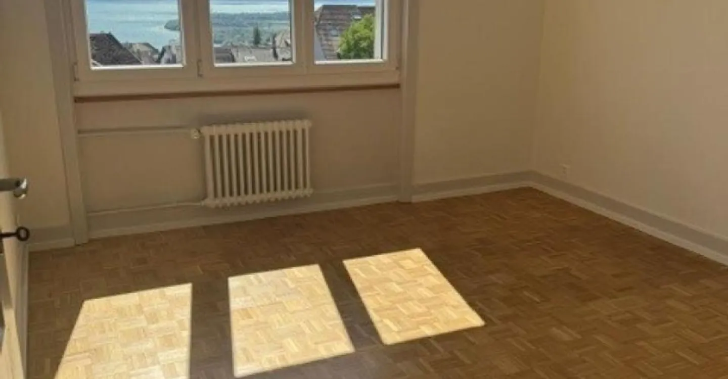 Appartamento di 2 stanze completamente ristrutturato - Foto 5 di 6
