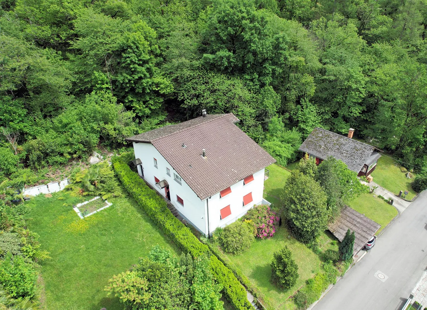 Renovated apartment immersed in greenery and nature - Photo 6 of 11