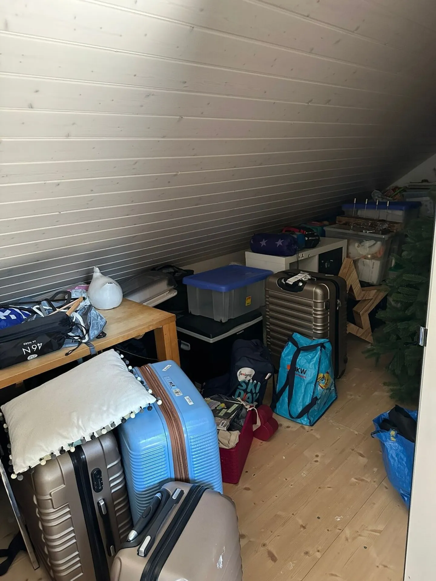 Casa unifamiliare indipendente nel verde – La tua nuova casa ti aspetta! - Foto 24 di 25