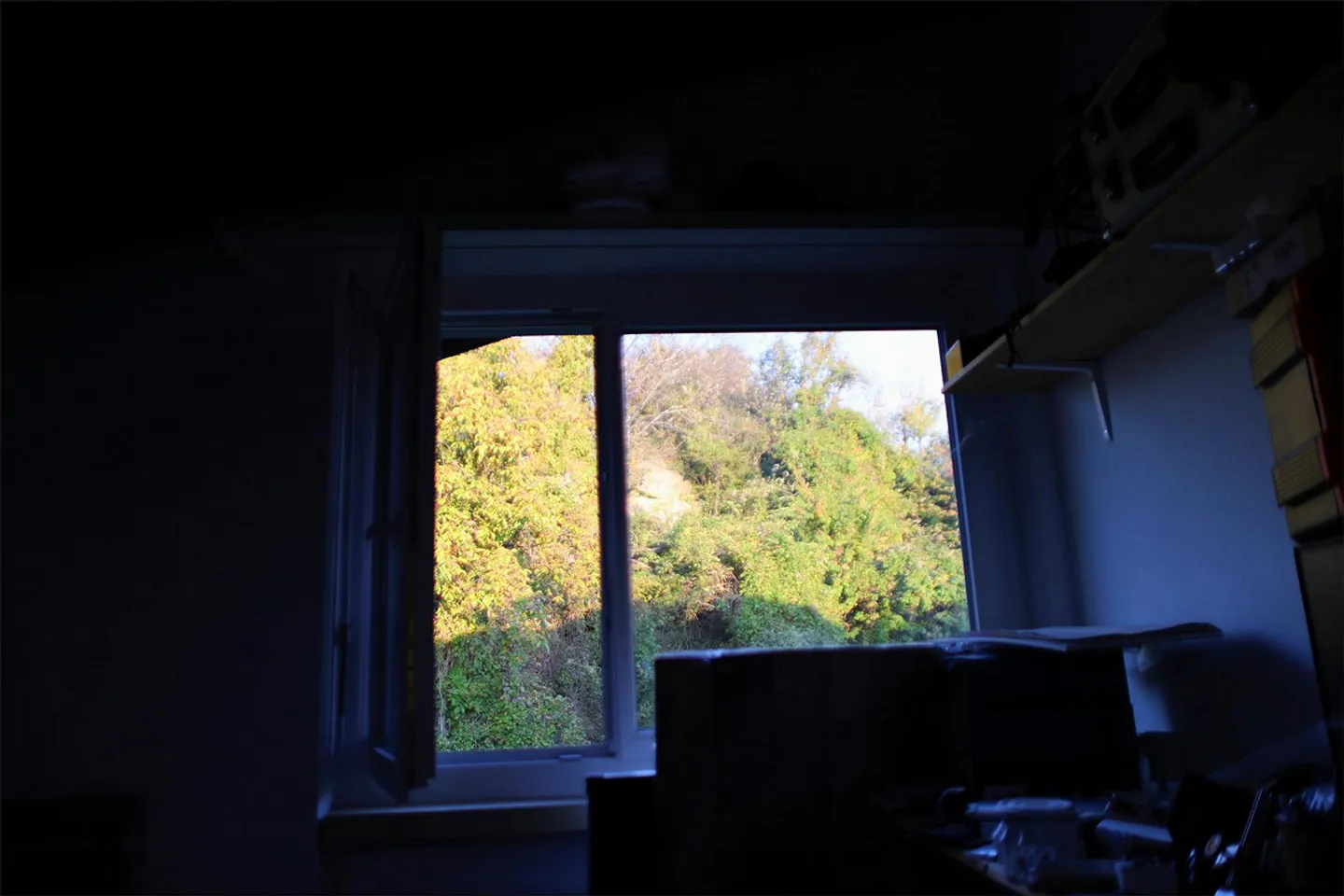 Appartement 2 1/2 pièces avec vue - Photo 5 sur 11