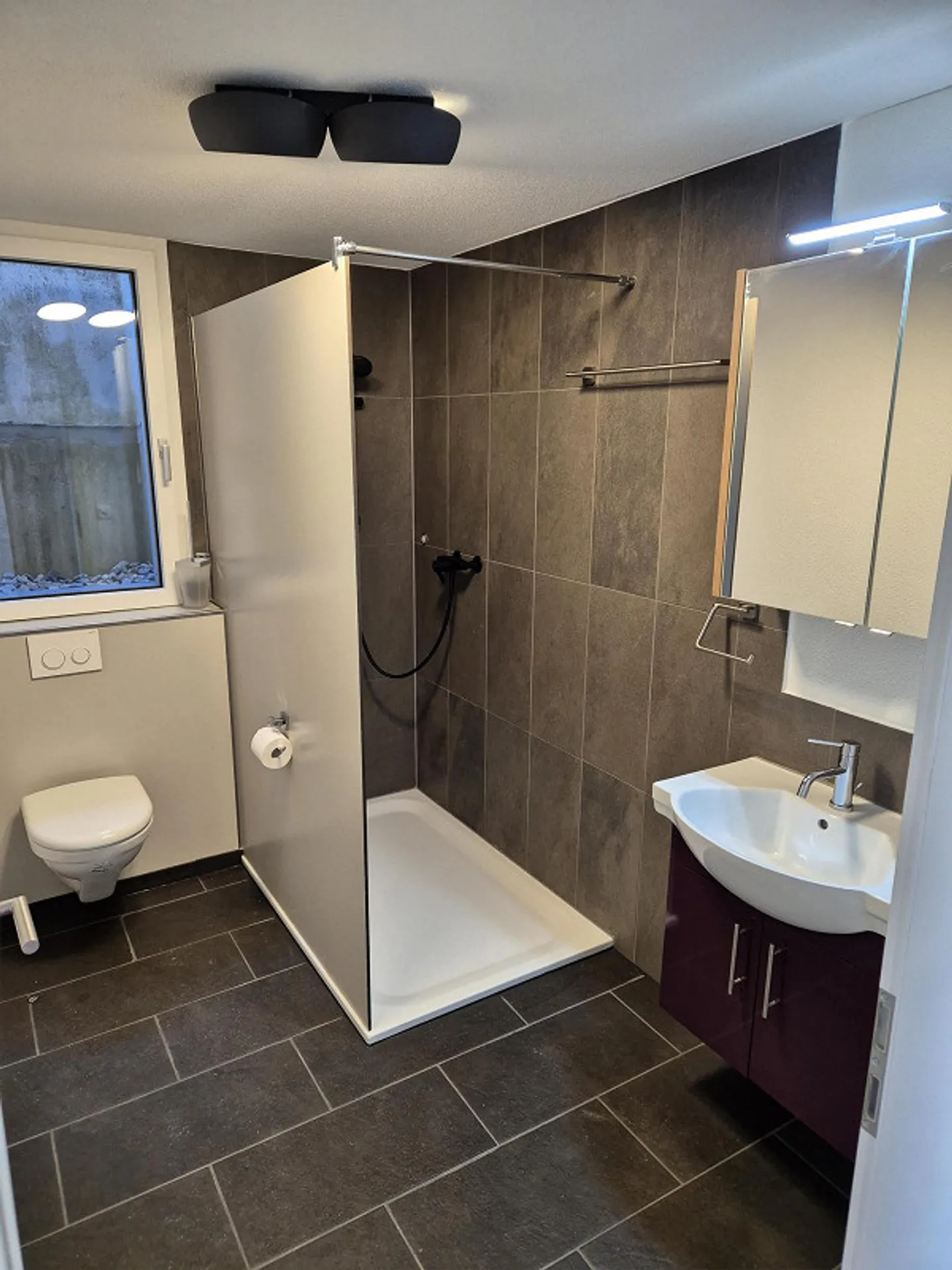 Single apartment for rent in Wauwil - Photo 2 of 4