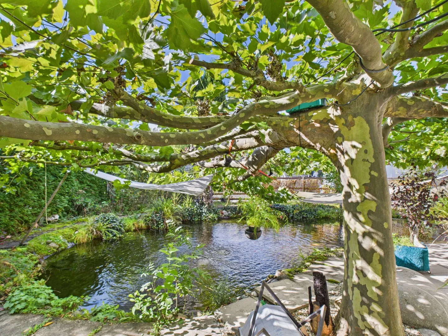 Maison de rêve dans le vert cherche des amoureux - Photo 16 sur 23