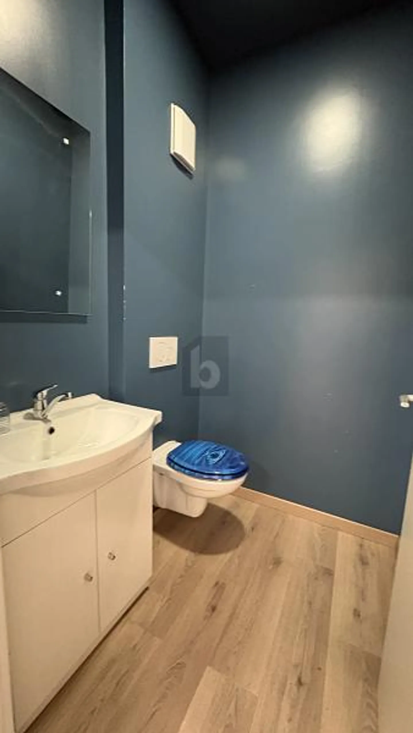 Espace Commercial Polyvalent - Photo 5 sur 6