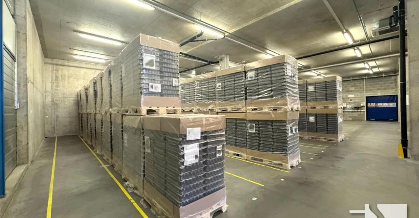 Warehouse/Hall of approx. 763 m², loading dock with loading ramp - Photo 6 of 10