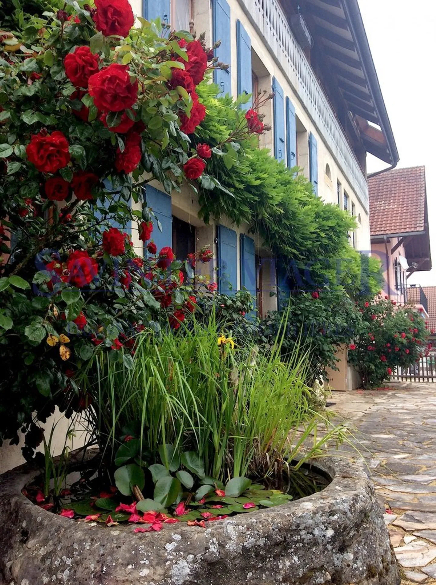 Fontaines-sur-Grandson, Magnificent Village House - Term Sale - Photo 1 of 13