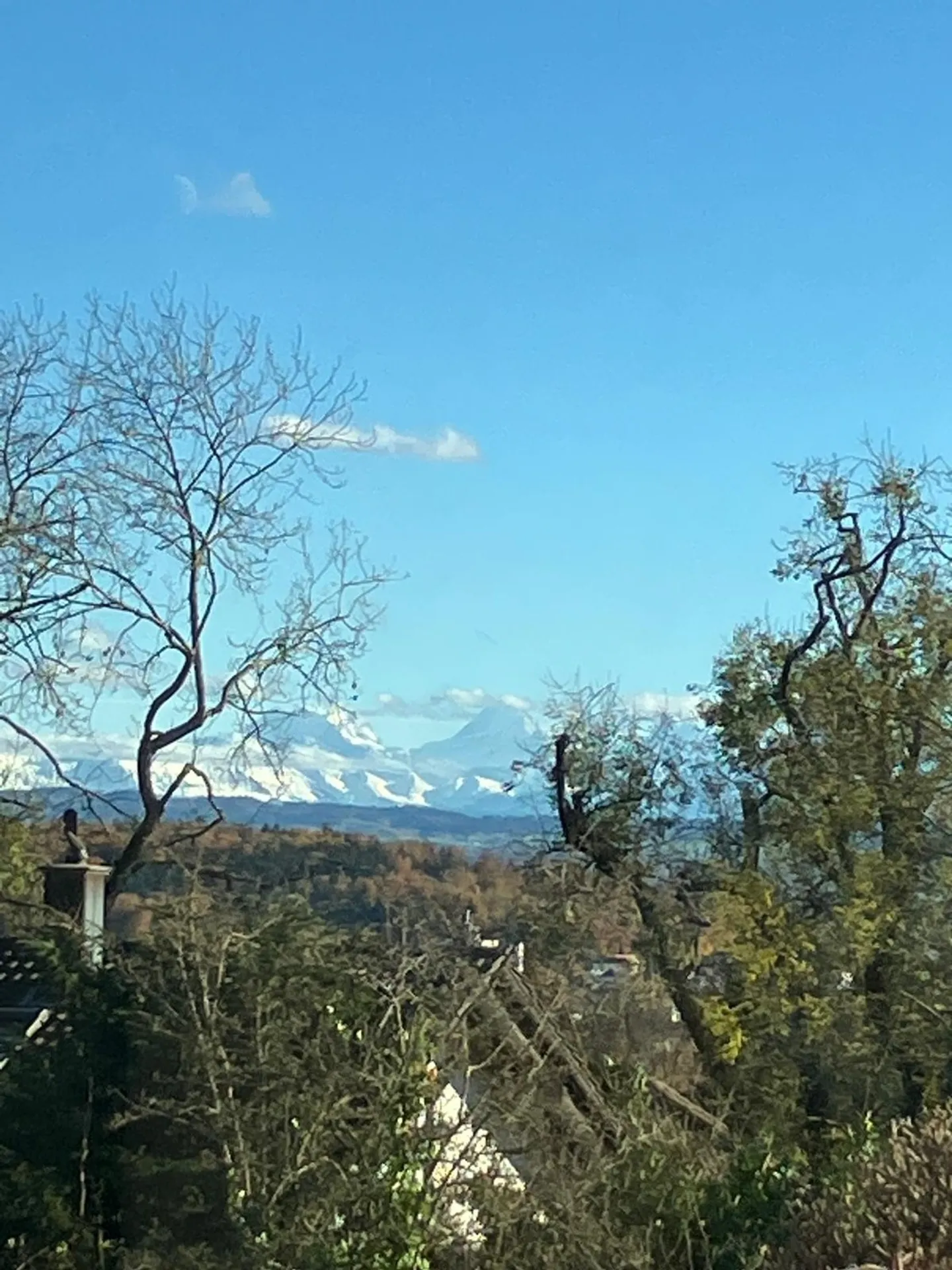 Appartement de rêve dans le quartier de Steingruben à Soleure - Photo 5 sur 6