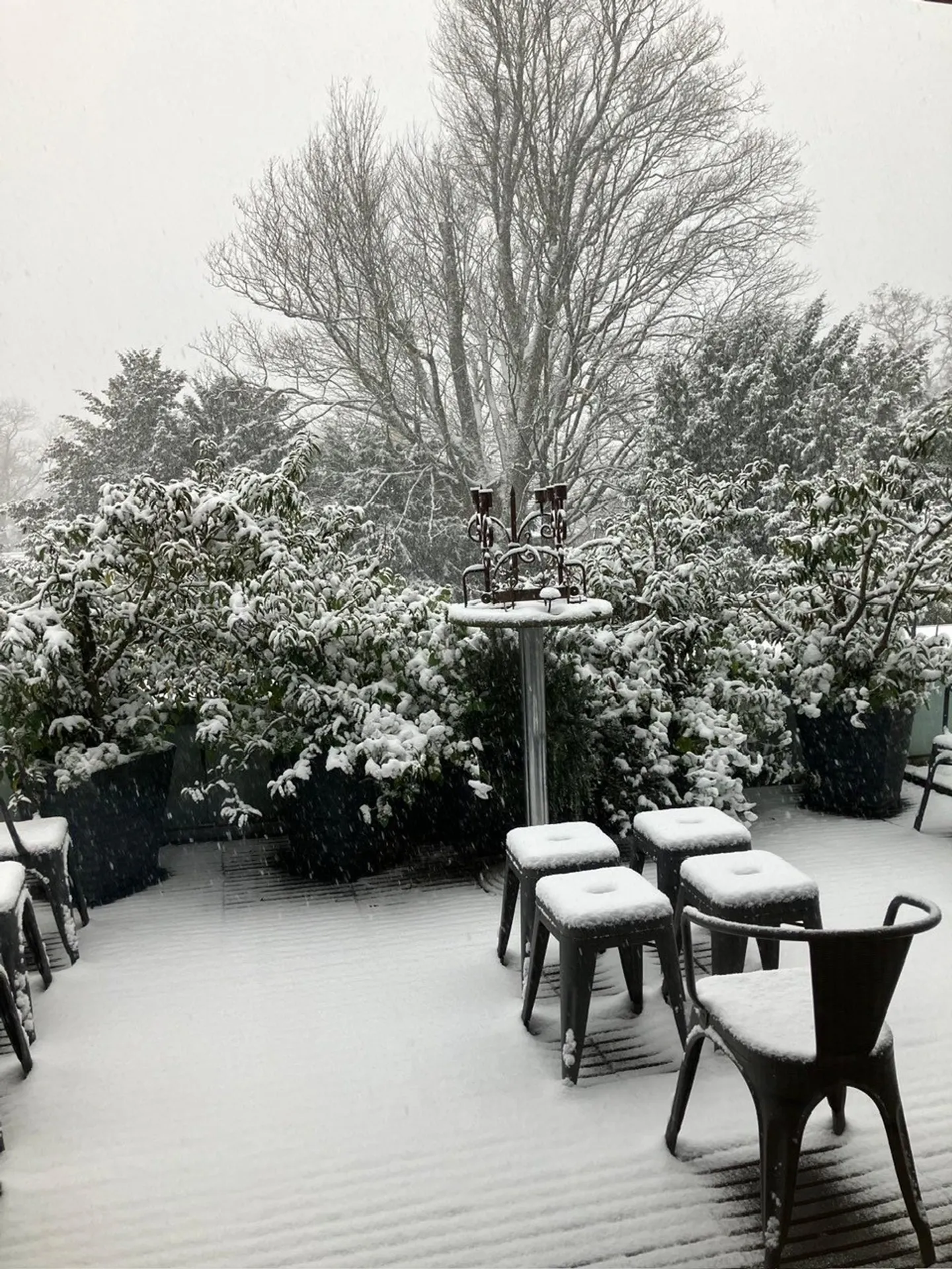 Appartement de rêve dans le quartier de Steingruben à Soleure - Photo 6 sur 6