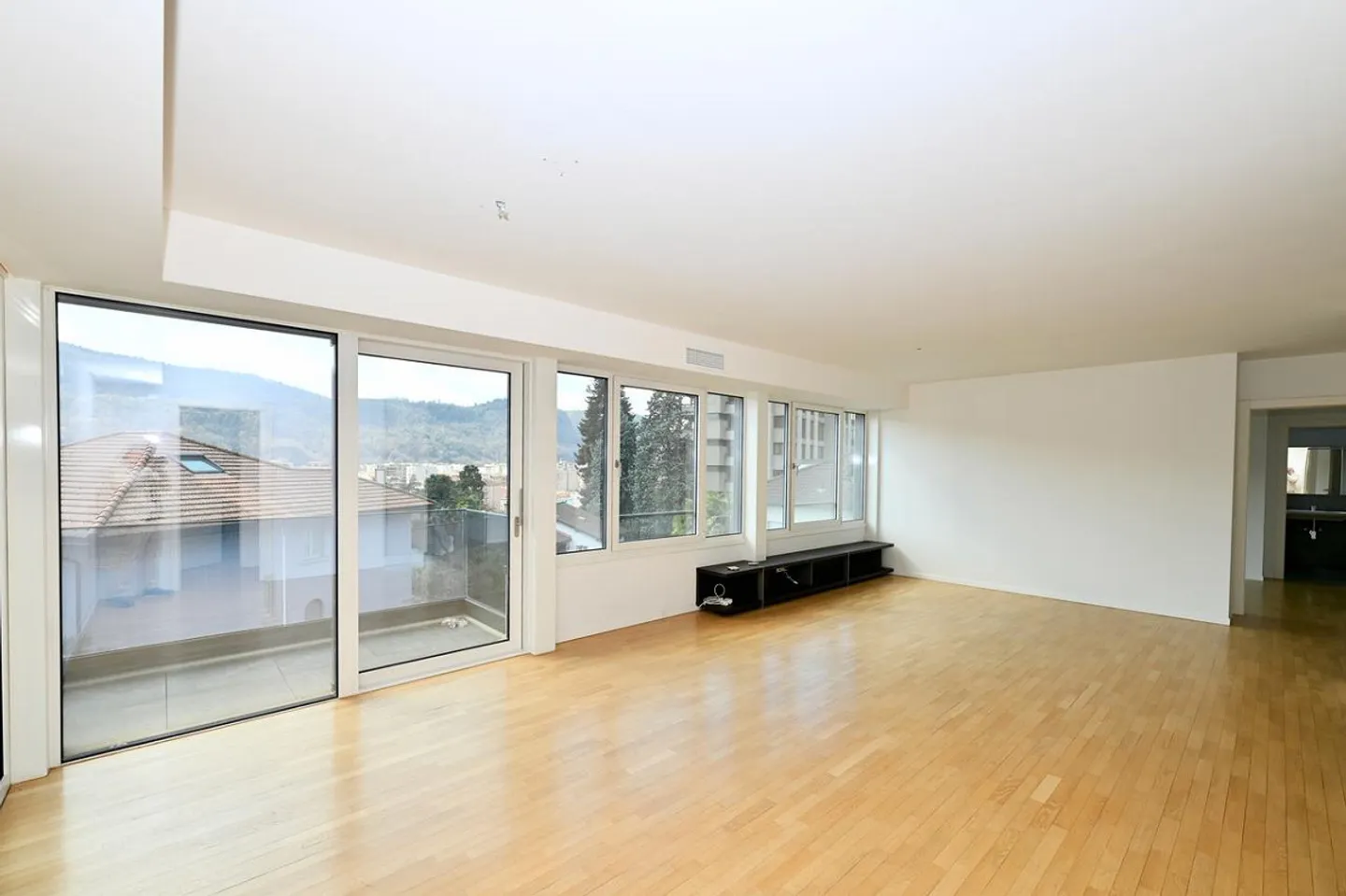 Modern and Bright Apartment with Panoramic Terrace in Vacallo - Photo 6 of 18