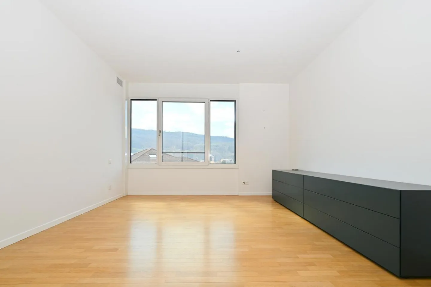 Modern and Bright Apartment with Panoramic Terrace in Vacallo - Photo 9 of 18