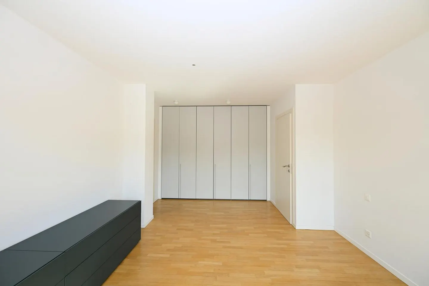 Modern and Bright Apartment with Panoramic Terrace in Vacallo - Photo 10 of 18