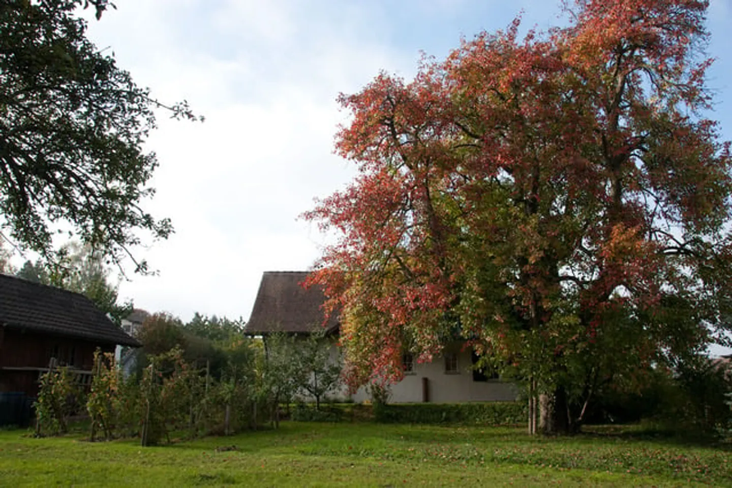 7.5-Room Country House with Garden in Tägerwilen - Photo 17 of 18