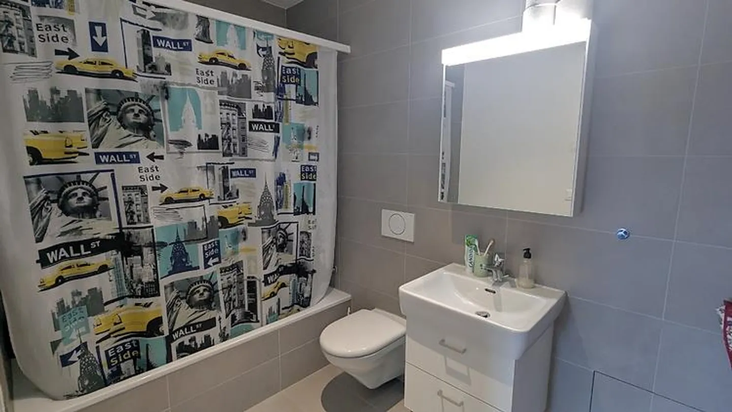 3½ ROOM APARTMENT IN BERN - MURIFELD, FURNISHED, TEMPORARY - Photo 6 of 9