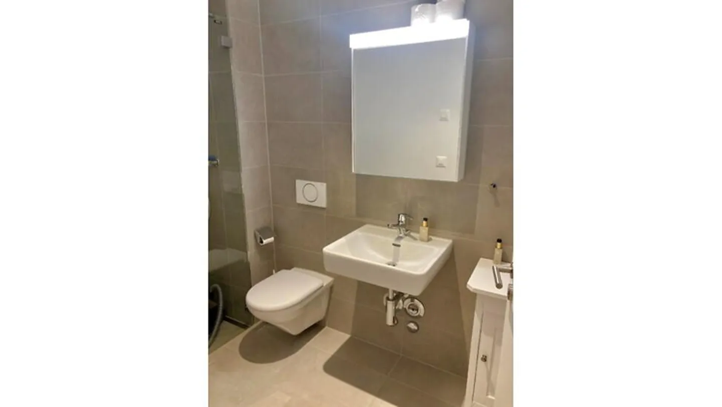 3½ ROOM APARTMENT IN BERN - MURIFELD, FURNISHED, TEMPORARY - Photo 7 of 9