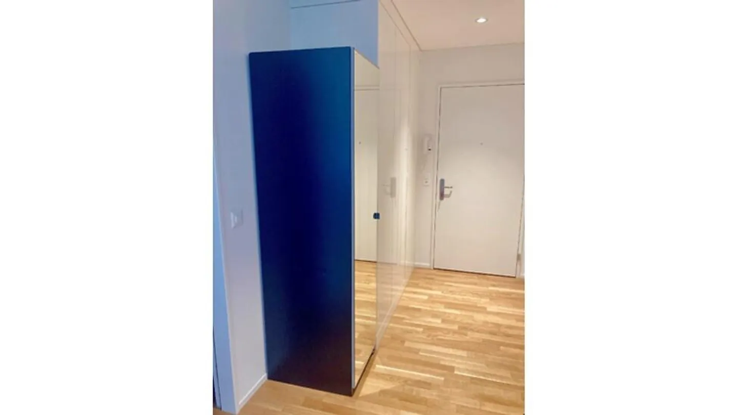 3½ ROOM APARTMENT IN BERN - MURIFELD, FURNISHED, TEMPORARY - Photo 9 of 9