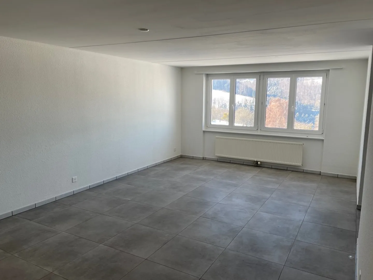 Appartamento 3.5 locali - Foto 4 di 8