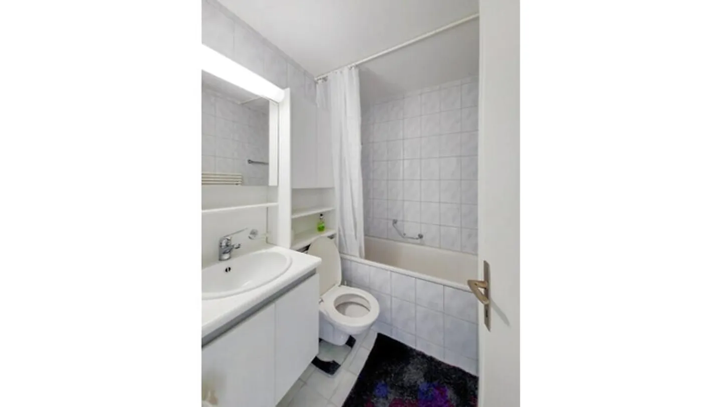 APPARTEMENT 3½ PIÈCES À BERN - WEISSENBÜHL, MEUBLÉ - Photo 8 sur 9