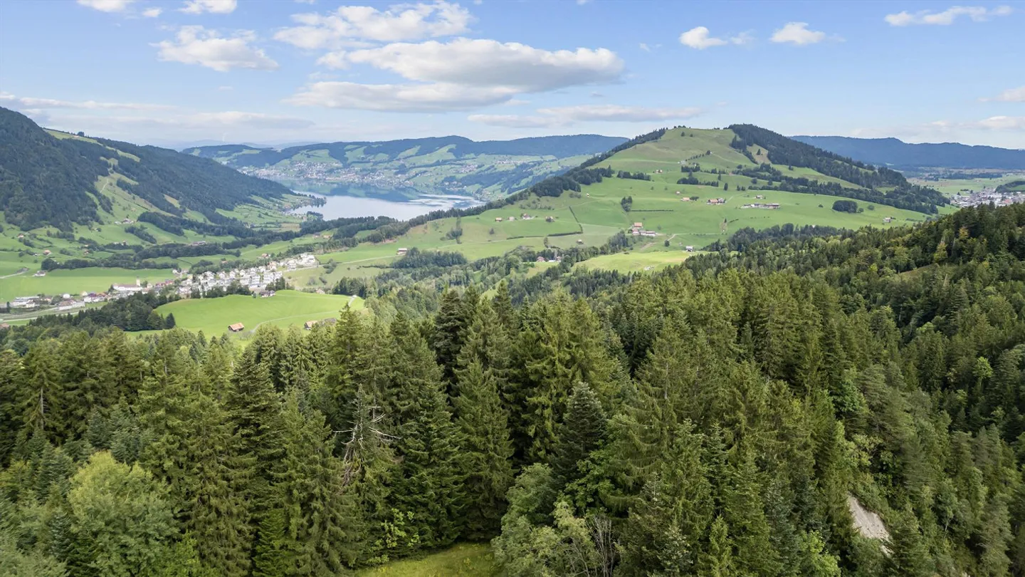 Terreno edificabile da sogno con vista panoramica a Mostelberg, Sattel in vendita - Foto 1 di 1
