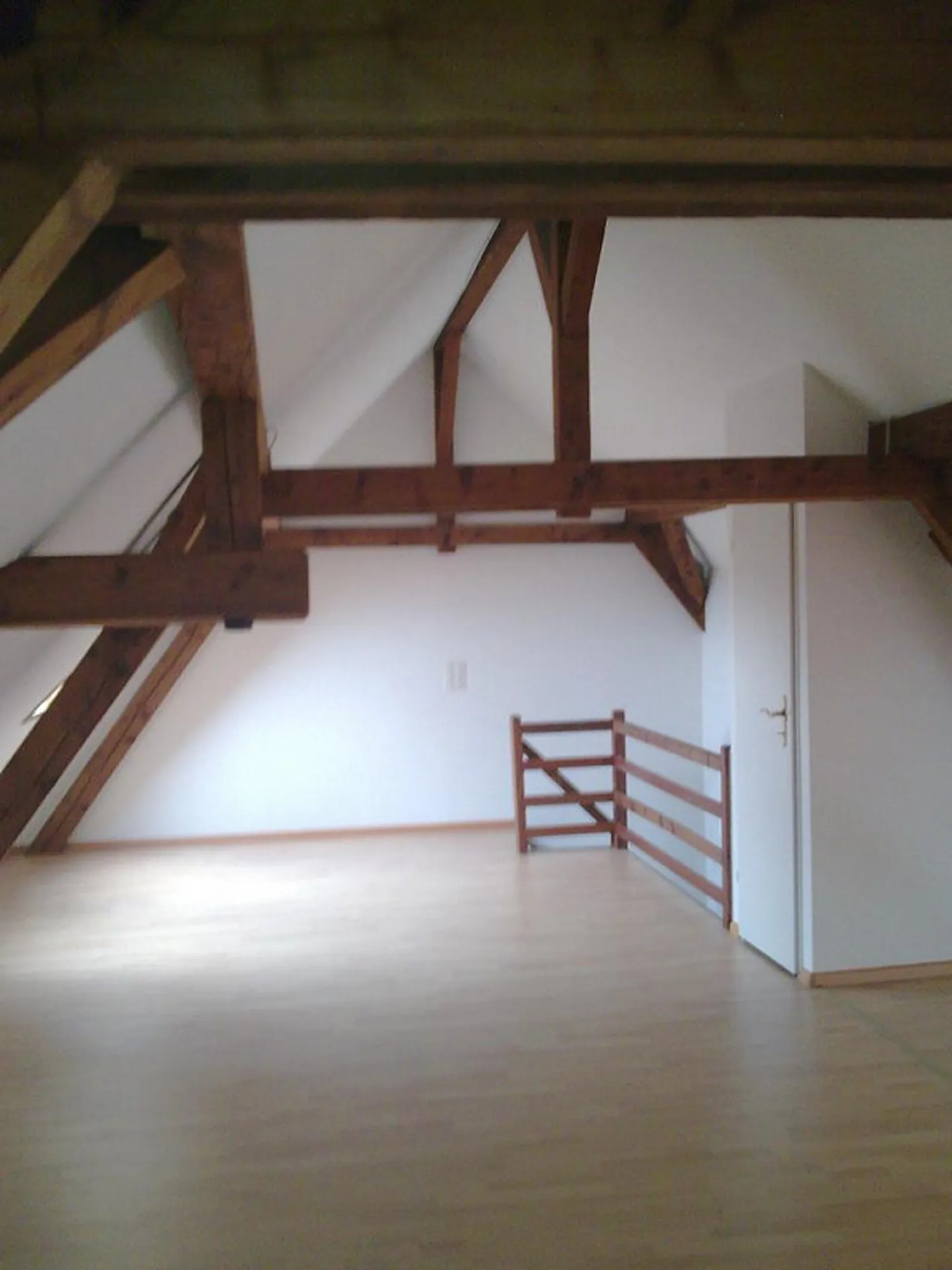 Vivere a Gellert - spazioso appartamento duplex con camino - Foto 2 di 10