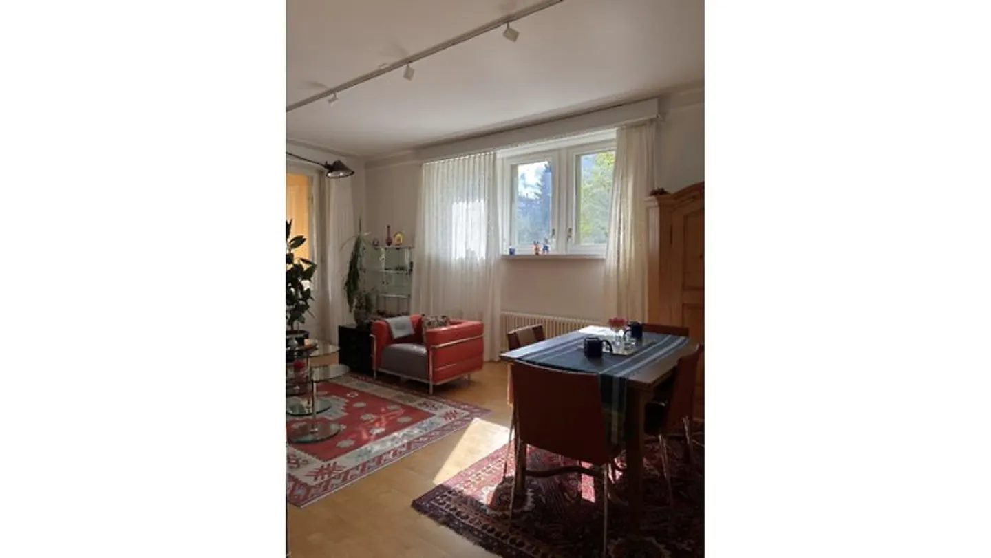 5½ ROOM APARTMENT IN BERN, FURNISHED - Photo 3 of 10