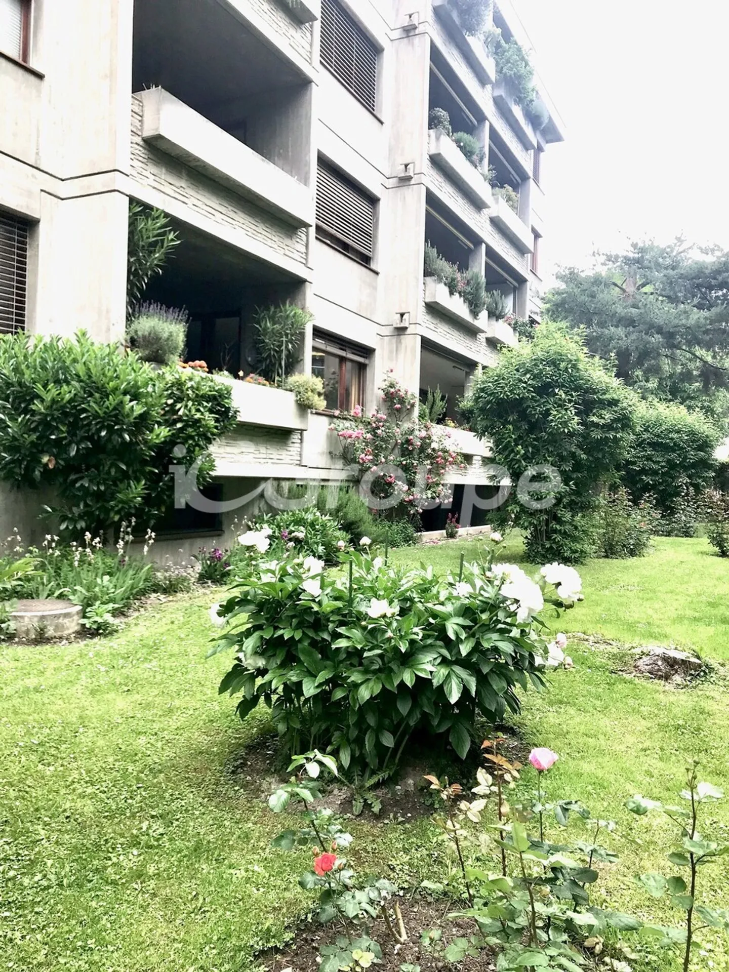 Appartamento in affitto - Foto 3 di 21