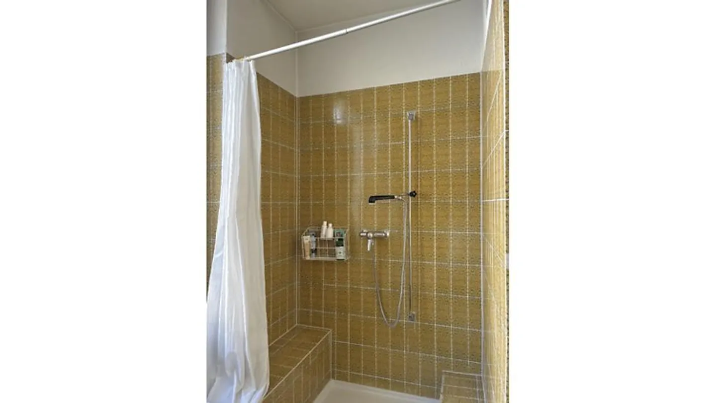 5½ ROOM APARTMENT IN BERN, FURNISHED - Photo 8 of 10