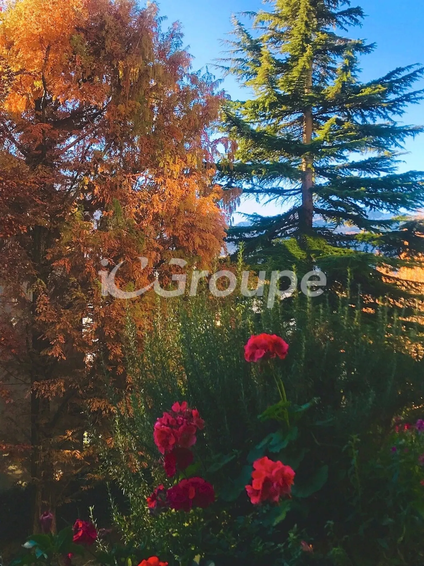 Appartamento in affitto - Foto 4 di 21