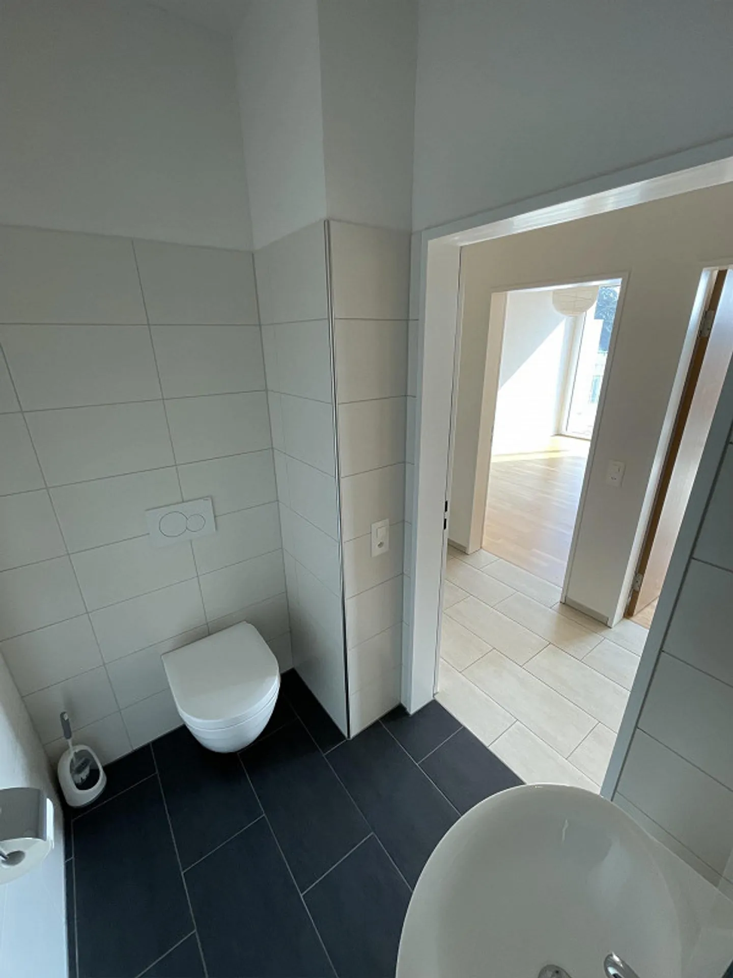 Duplex Apartment Above the Rooftops of Winterthur - Photo 11 of 12