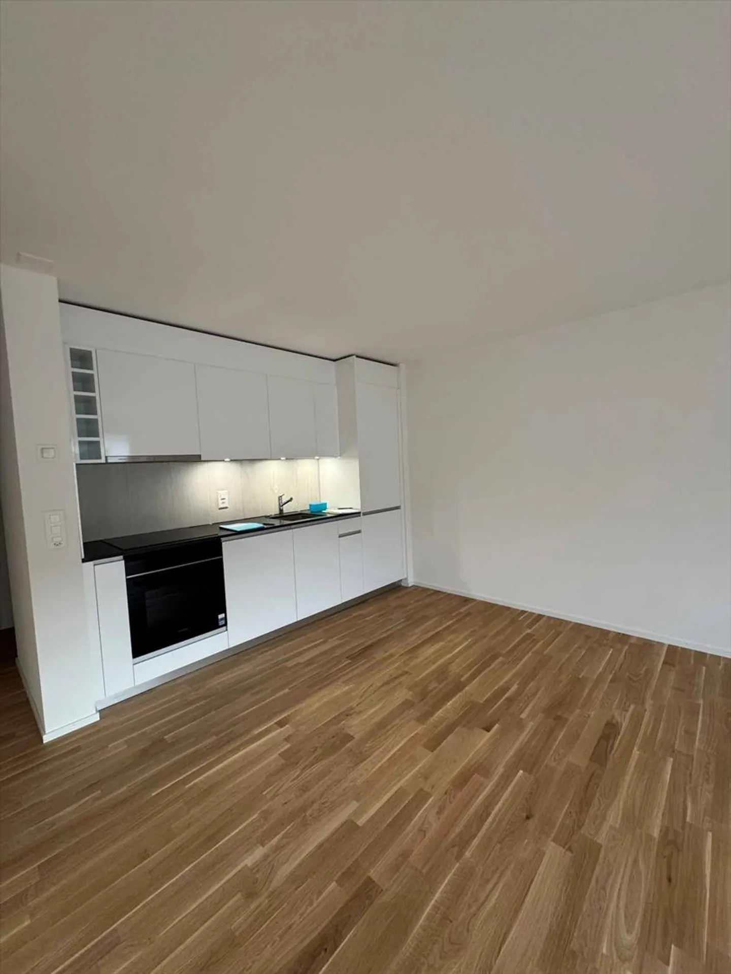 1.5 Room Apartment - Photo 1 of 1