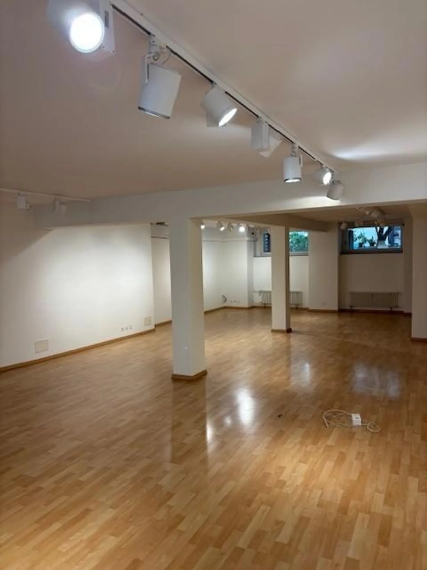 Commercial Space in Winterthur - Photo 5 of 9