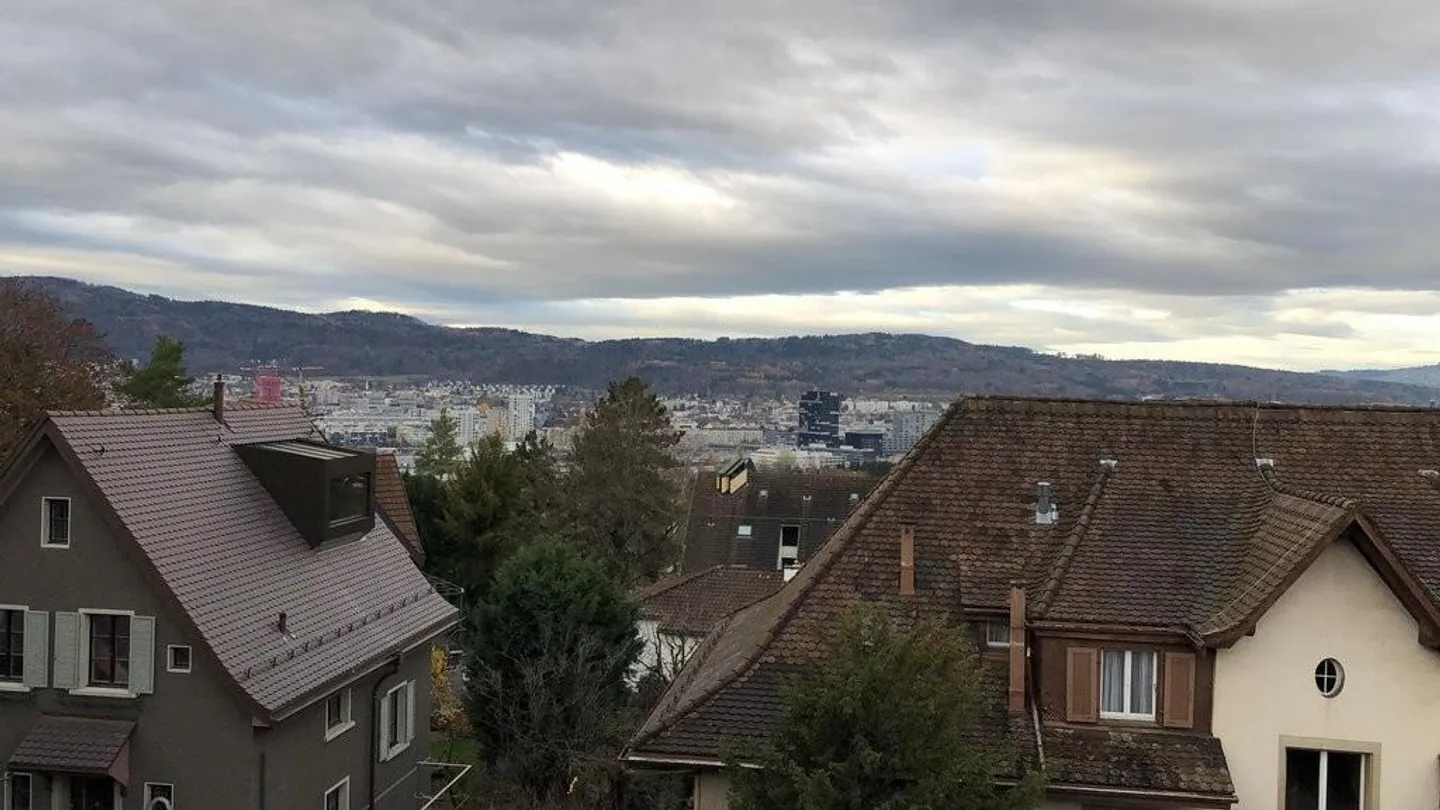 Spacious 2-room maisonette apartment in Albisrieden - Photo 12 of 12