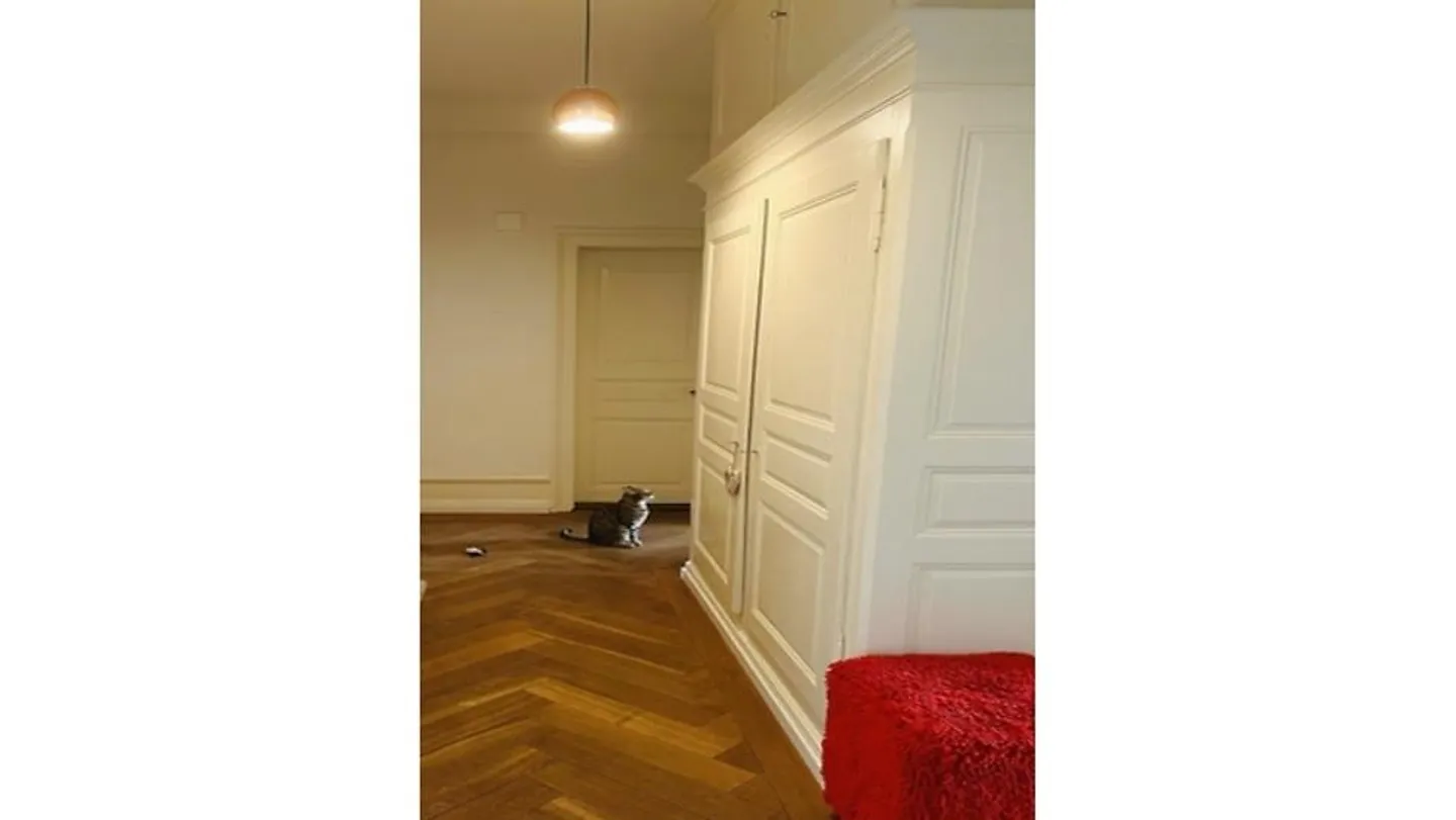 APPARTAMENTO 4½ STANZE A ZURIGO - DISTRETTO 1, ARREDATO, TEMPORANEO - Foto 6 di 9