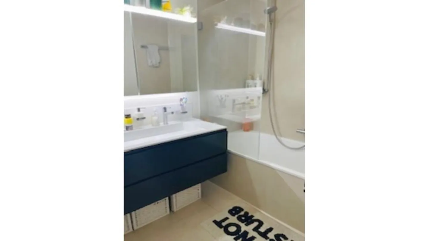 APPARTAMENTO 4½ STANZE A ZURIGO - DISTRETTO 1, ARREDATO, TEMPORANEO - Foto 7 di 9