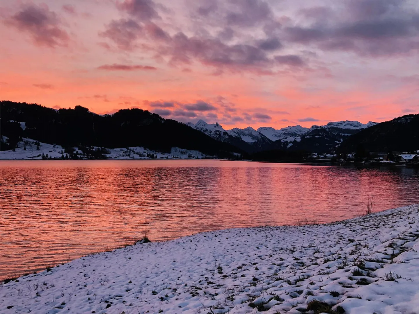 Wunderschöne 4,5 Zimmer Parterre-Wohnung mit Umschwung - Foto 2 von 21