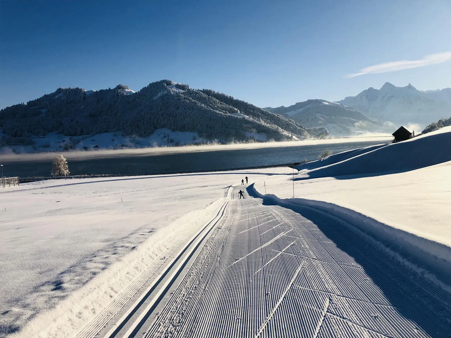 Wunderschöne 4,5 Zimmer Parterre-Wohnung mit Umschwung - Foto 3 von 21